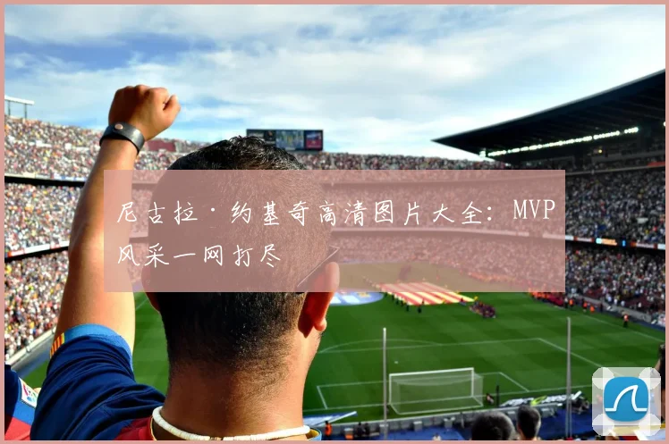 尼古拉·约基奇高清图片大全：MVP风采一网打尽