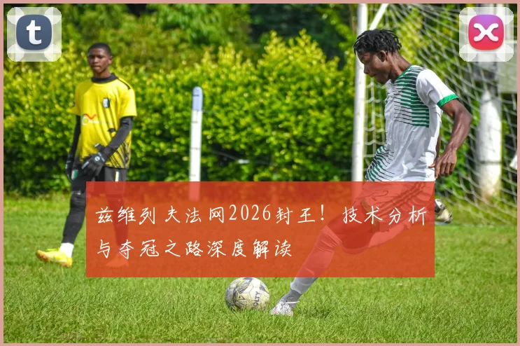 兹维列夫法网2026封王!技术分析与夺冠之路深度解读