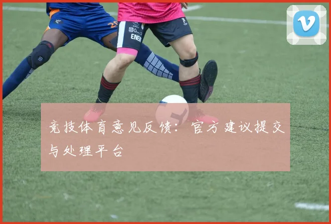 竞技体育意见反馈：官方建议提交与处理平台